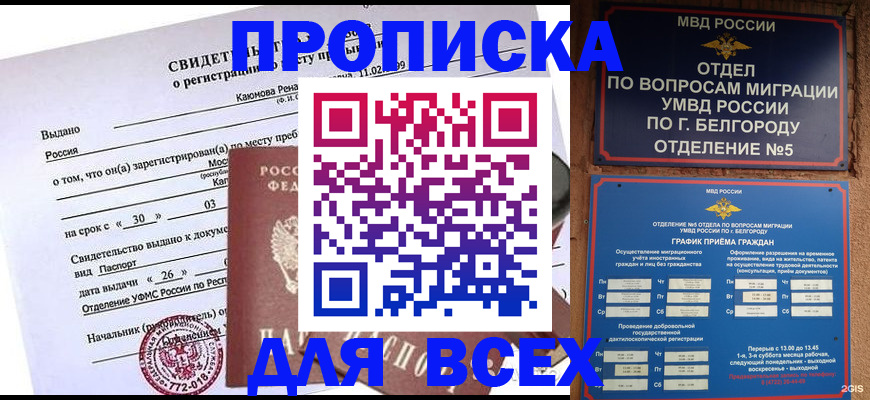 прописка поиск в Нижнекамске